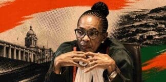 ANC Responds After Constitutional Court Strikes Down Parts of National Health Act