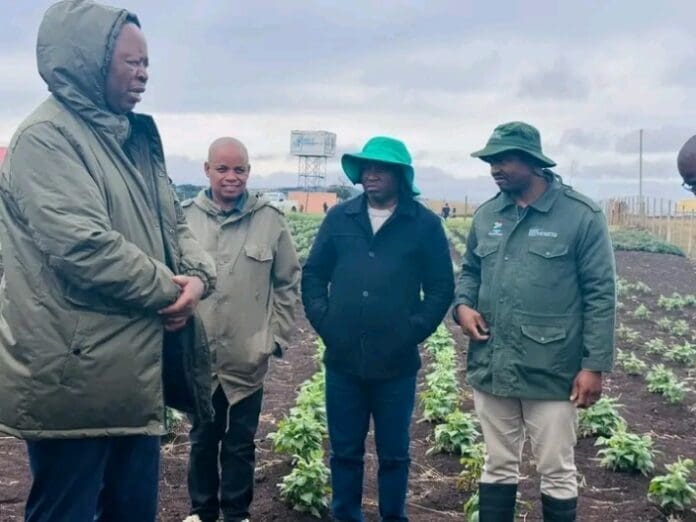 Bizana Students Take Root In Sustainable Agriculture Education Bizana students take root in sustainable agriculture education