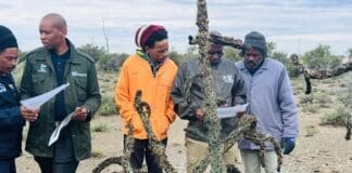 Eastern Cape LandCare Project Targets Invasive Cactus and Supports Goat Farmers in Dr Beyers Naudé Eastern Cape LandCare Project Targets Invasive Cactus and Supports Goat Farmers in Dr Beyers Naudé2