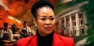 Government announces new push to support township and rural businesses in South Africa