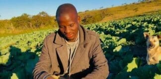 Idutywa farmer harvests success from hardship Idutywa farmer harvests success from hardship