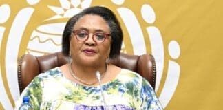 Parliament Names Members for Impeachment Committee — What South Africans Should Know Thoko Didiza NA 1