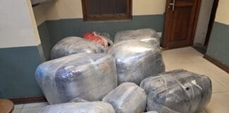 Three Men Arrested in KuGompo After Police Seize Dagga Worth R500,000 From Bus Three Men Arrested in KuGompo After Police Seize Dagga Worth R500,000 From Bus
