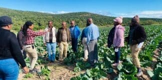 ECRDA board visits Zanyokwe Irrigation Scheme to assess rural agriculture development Zanyokwe Irrigation Scheme,