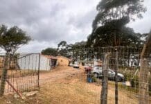 Amadiba Clinic In Mbizana ‘In Despair’ Serves More Than 22000 Population In 1985 Tiny Built Structures AMADIBA CLINIC IN MBIZANA ‘IN DESPAIR’ SERVES MORE THAN 22000 POPULATION IN 1985 TINY BUILT STRUCTURES