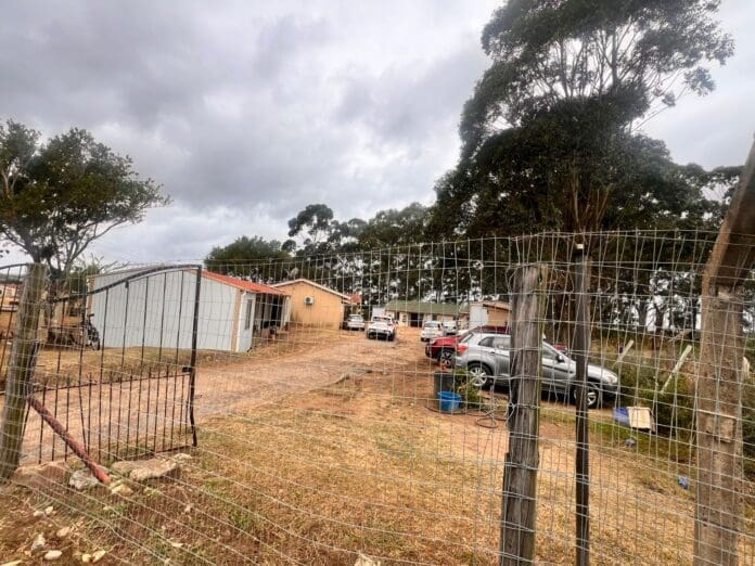 AMADIBA CLINIC IN MBIZANA ‘IN DESPAIR’ SERVES MORE THAN 22000 POPULATION IN 1985 TINY BUILT STRUCTURES AMADIBA CLINIC IN MBIZANA ‘IN DESPAIR’ SERVES MORE THAN 22000 POPULATION IN 1985 TINY BUILT STRUCTURES