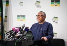 ANC says illegal immigration concerns should be addressed through law, not violence