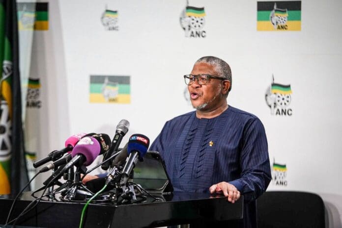ANC says illegal immigration concerns should be addressed through law, not violence