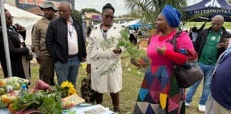 Agricultural show connects farmers to buyers in Butterworth