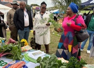 Agricultural show connects farmers to buyers in Butterworth