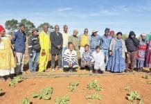 Bizana Farmer Creates Jobs and Inspires Future Agricultural Leaders Bizana Farmer Creates Jobs and Inspires Future Agricultural Leaders 3