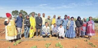 Bizana Farmer Creates Jobs and Inspires Future Agricultural Leaders 3