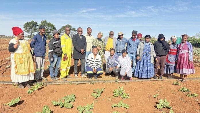Bizana Farmer Creates Jobs And Inspires Future Agricultural Leaders 3 Bizana Farmer Creates Jobs and Inspires Future Agricultural Leaders 3