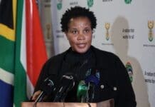R179.6 million approved for spaza shops as government urges more businesses to apply R179.6 million approved for spaza shops as government urges more businesses to apply