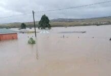 One year after the floods: has Mthatha recovered? Remembering the Floods That Shook Mthatha