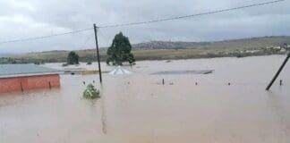 Remembering the Floods That Shook Mthatha