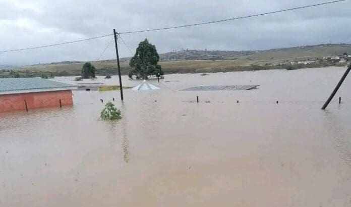 Remembering The Floods That Shook Mthatha Remembering the Floods That Shook Mthatha